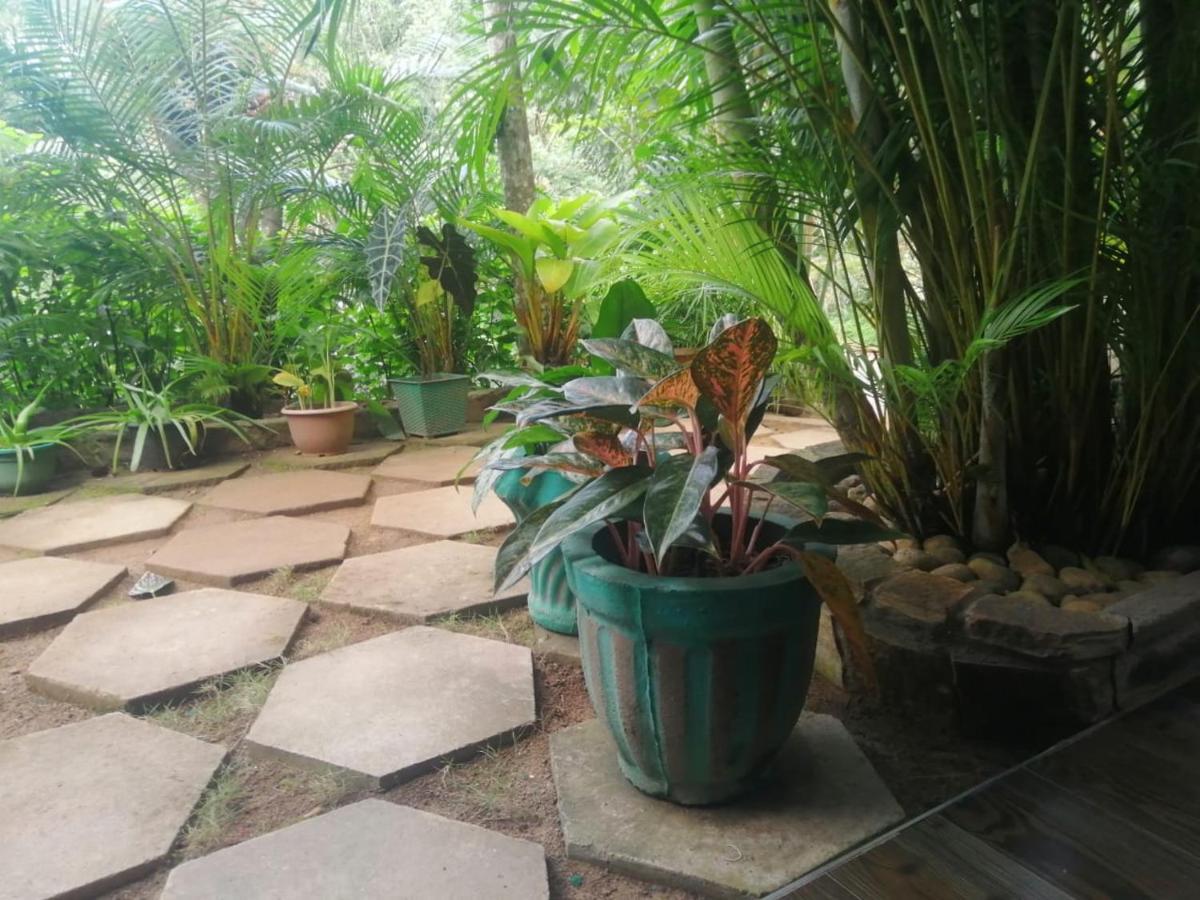 Sky Garden Ella Apartment ภายนอก รูปภาพ